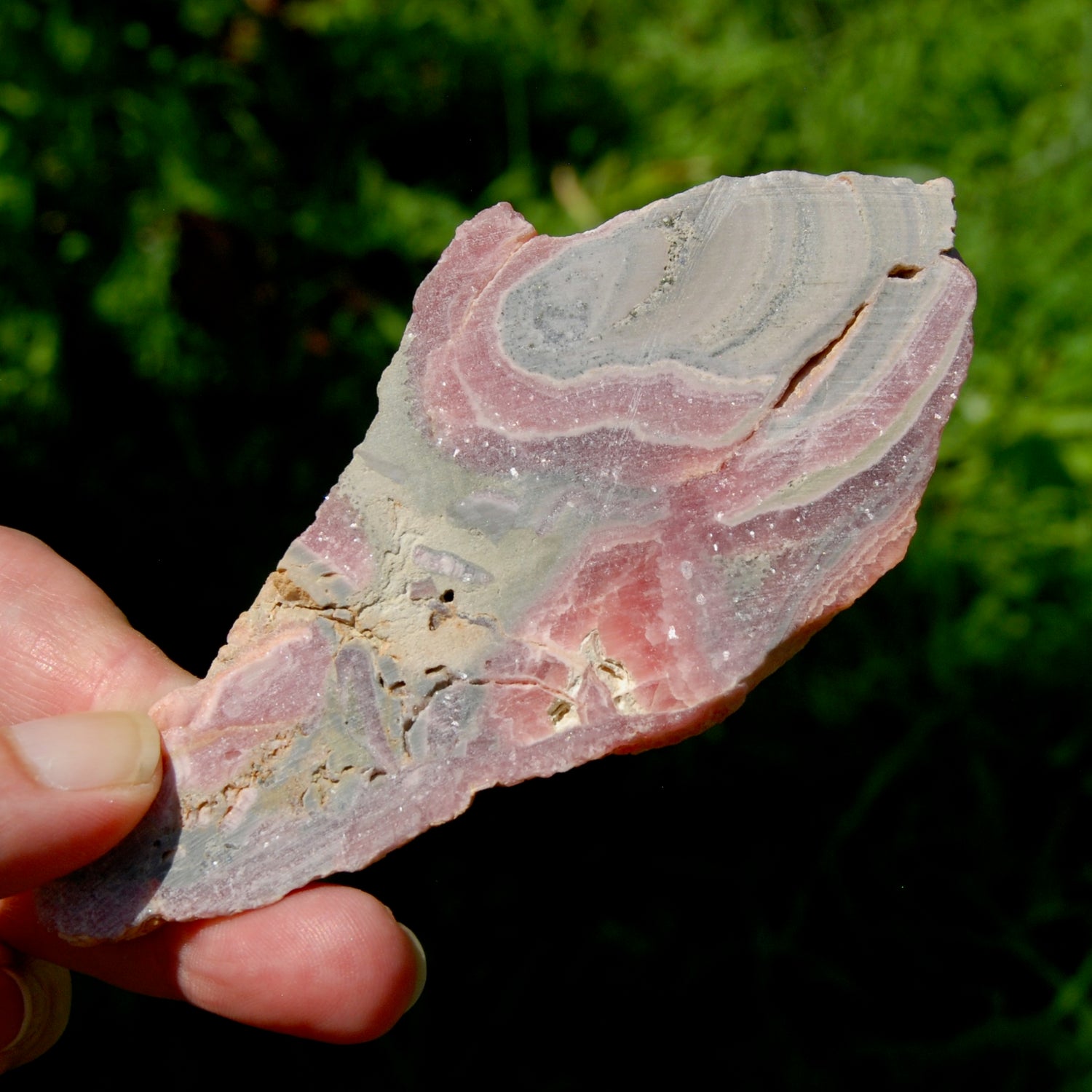 Rhodochrosite Slice with Galena & Pyrite – Polished Crystal from Argentina