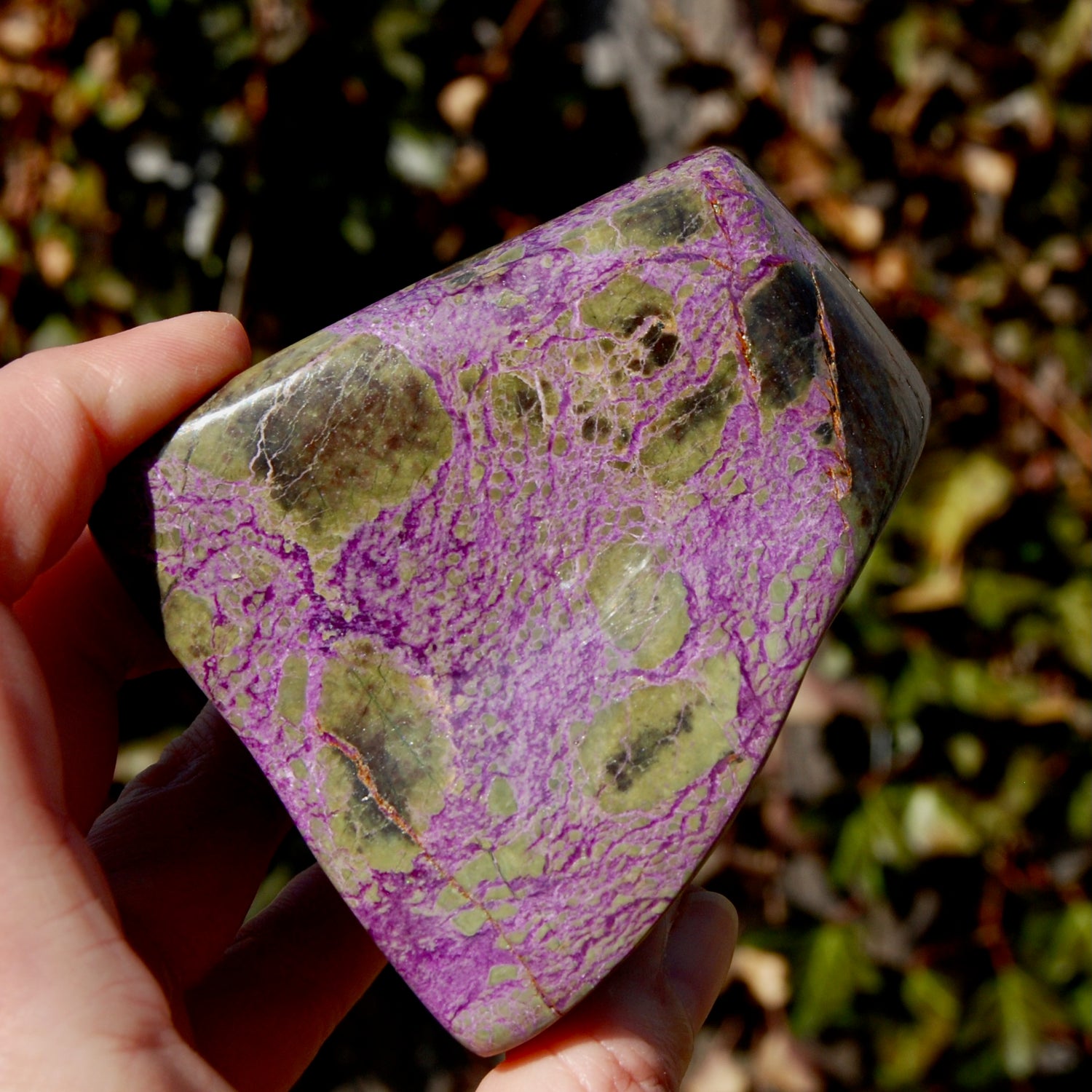 Atlantasite Stichtite Serpentine Crystal
