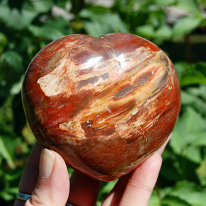 Petrified Wood Crystal Heart Shaped Palm Stone