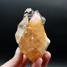 Load image into Gallery viewer, 1lb HUGE Rare Dolphin Twin Dogtooth Stellar Beam Calcite Crystal, Elmwood Mine Tennessee Gemmy
