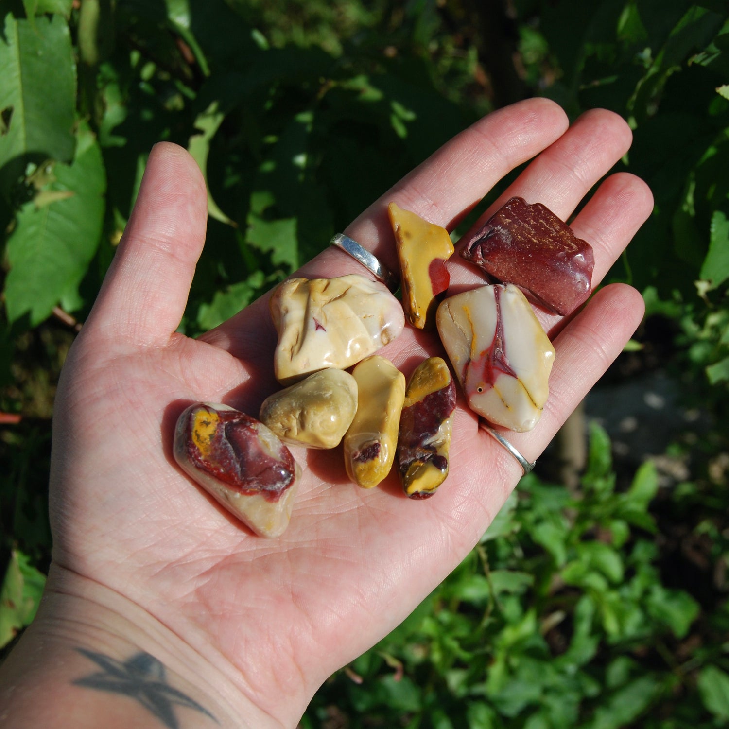 Mookaite Jasper Crystal Tumbled Stones, Medium Large