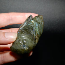 Load image into Gallery viewer, Large Labradorite Carved Crystal Cicada
