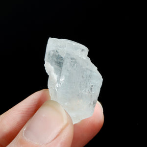 Raw Gem Aquamarine Beryl Crystal Specimen Muscovite Matrix