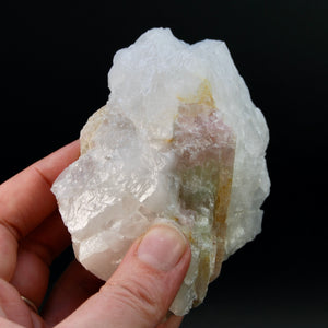 Raw Tricolor Tourmaline Lepidolite Crystal on Quartz Matrix, Brazil