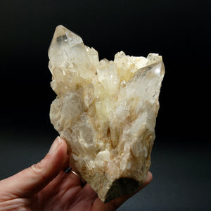 Natural Genuine Kundalini Citrine Crystal Cluster, Congo