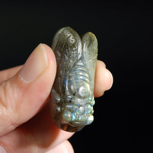 Labradorite Carved Crystal Cicada