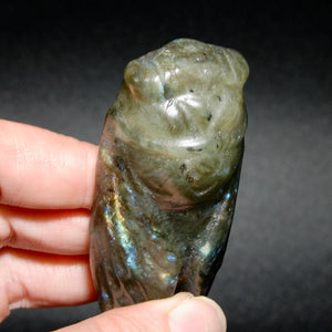 Large Labradorite Carved Crystal Cicada