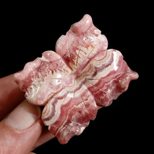 Genuine Rhodochrosite Carved Crystal Crystal Flower, Argentina