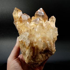 HUGE Kundalini Citrine Crystal Cluster, Congo