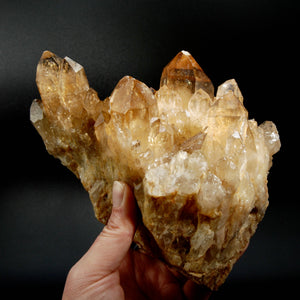 HUGE 4.5lb Natural Genuine Kundalini Citrine Crystal Cluster, Excellent Color, Congo