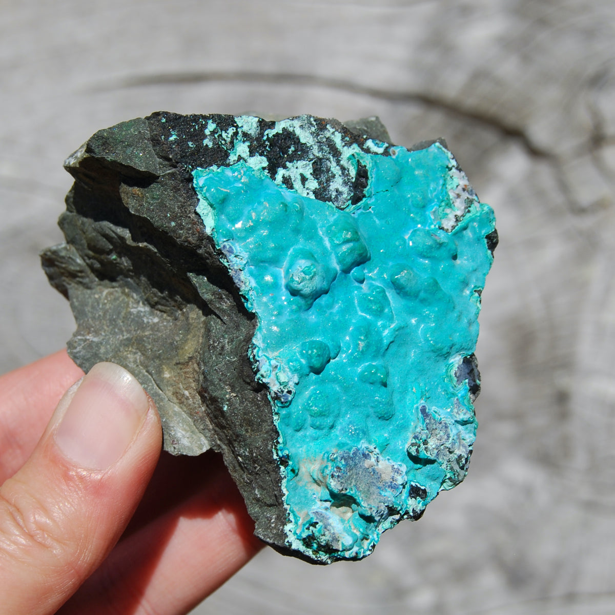 Silica Chrysocolla, Silica Chrysocolla Crystal, Large Raw Chrysocolla, Congo