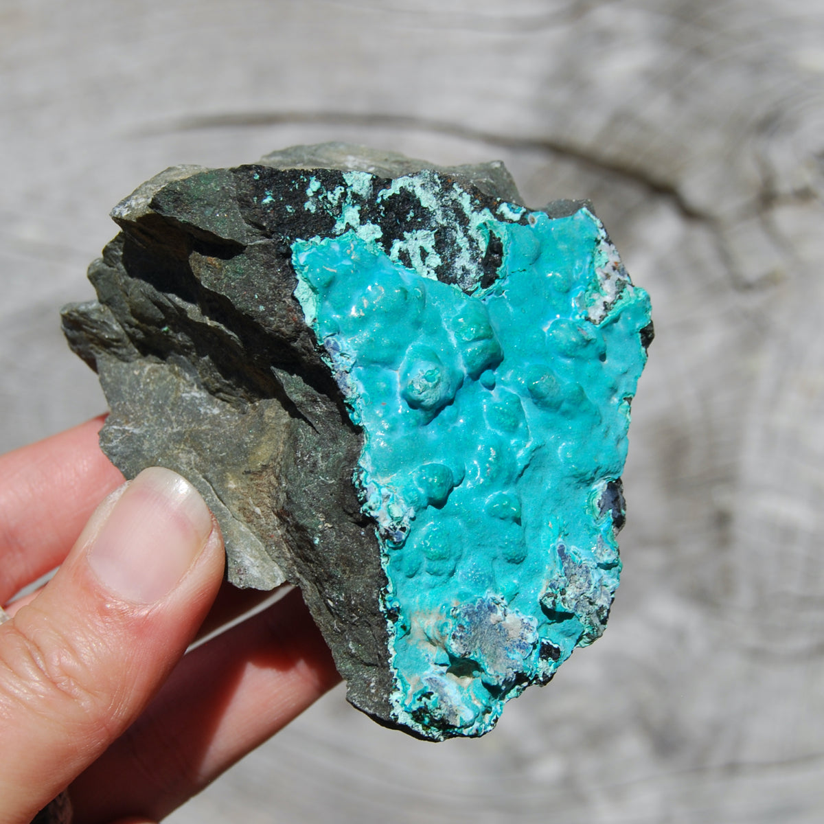Silica Chrysocolla, Silica Chrysocolla Crystal, Large Raw Chrysocolla, Congo
