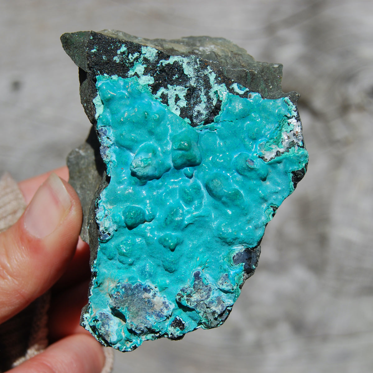 Silica Chrysocolla, Silica Chrysocolla Crystal, Large Raw Chrysocolla, Congo