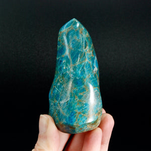Gemmy Blue Apatite Crystal Flame, Madagascar