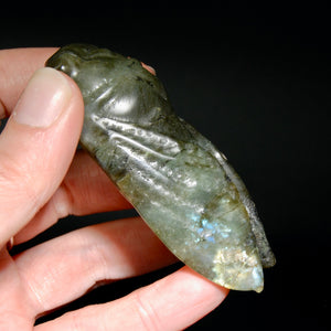 Large Labradorite Carved Crystal Cicada