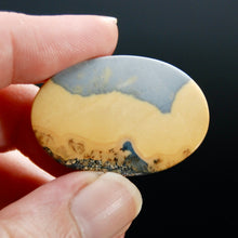 Load image into Gallery viewer, AAA Maligano Jasper Landscape Cabochon Oval, Indonesia
