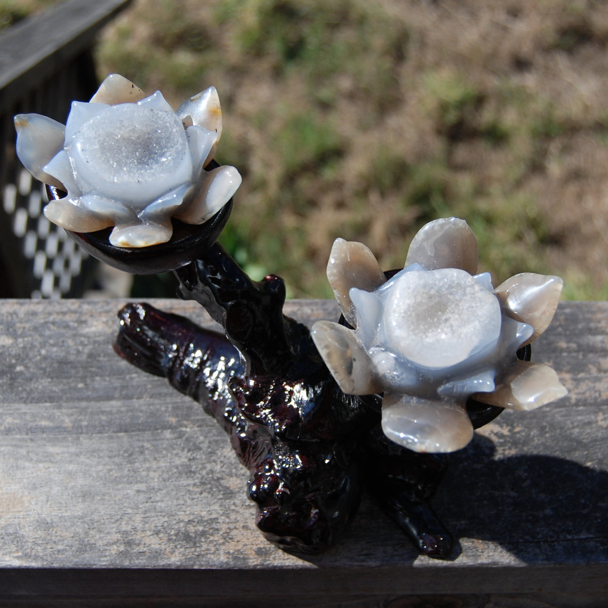 Agate Geode Lotus Flower Pair Hand Carved Crystal with Burl Stand