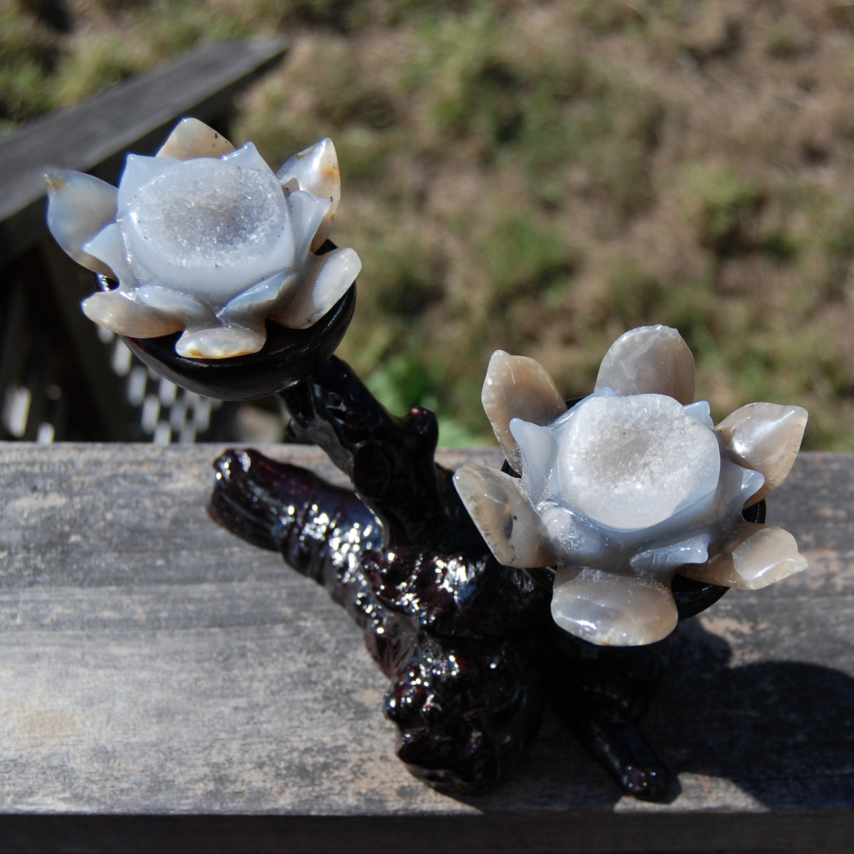 Agate Geode Lotus Flower Pair Hand Carved Crystal with Burl Stand