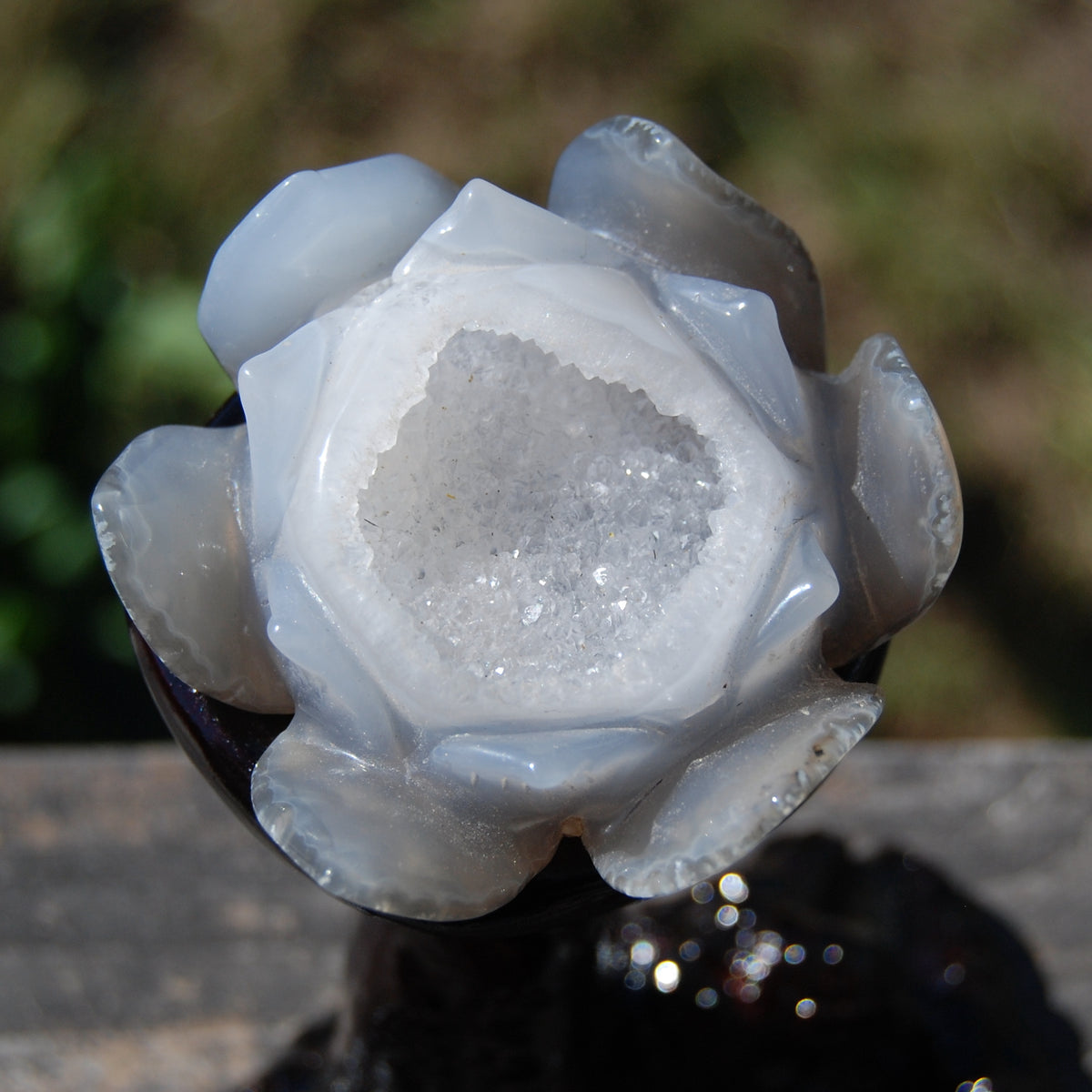 Agate Geode Lotus Flower Hand Carved Crystal with Burl Stand