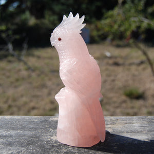 Carved Rose Quartz Crystal Parrot 