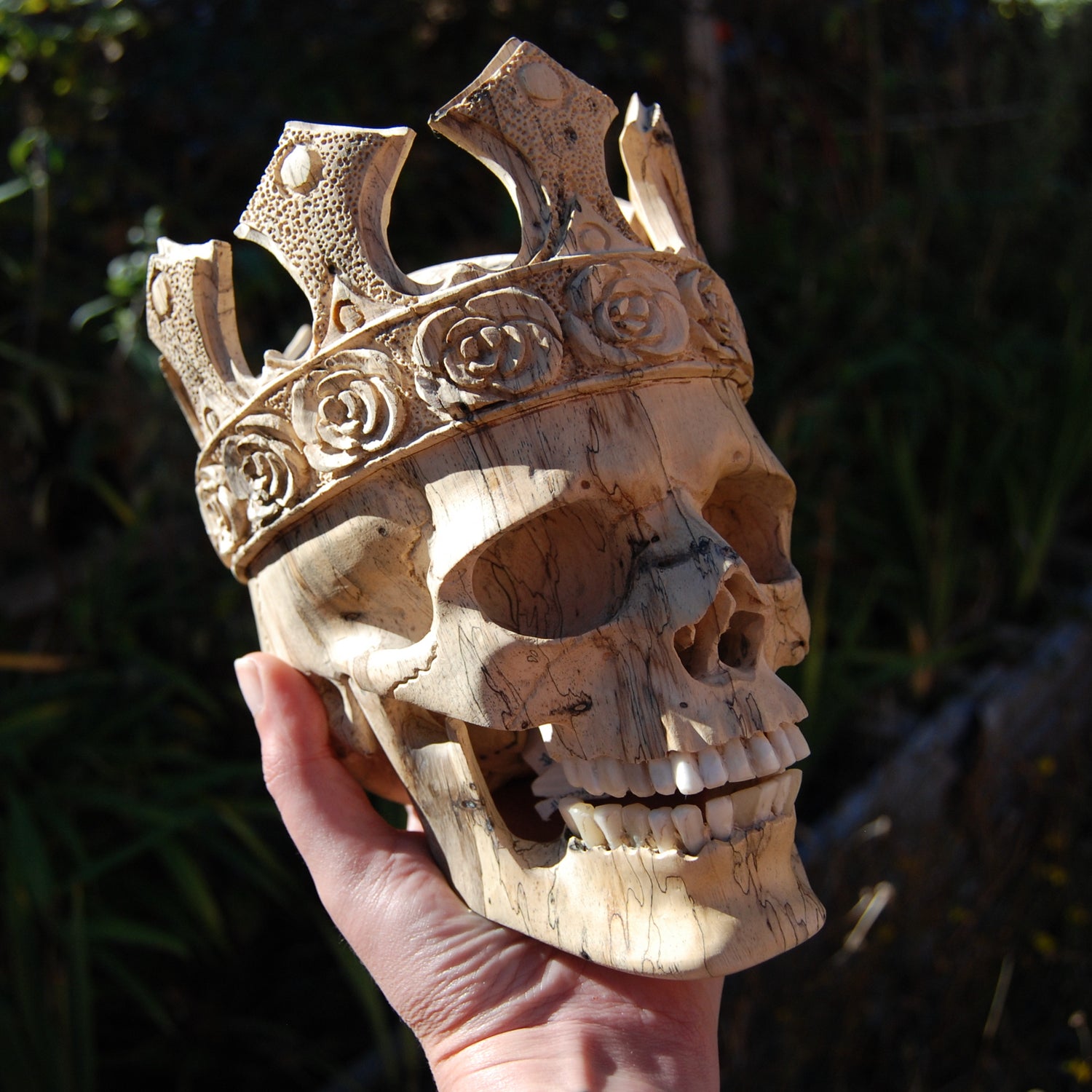 Carved Human Skull with Crown in Wood with Bone Teeth
