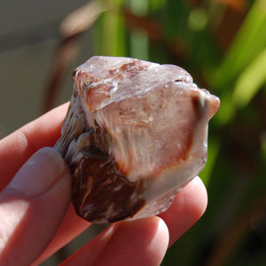 Amphibole Quartz Natural Crystal Tumbled Stones