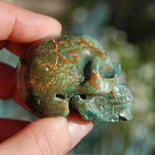 Load image into Gallery viewer, Blue Opalized Petrified Wood Carved Crystal Skull

