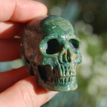 Load image into Gallery viewer, Rare Blue Opalized Petrified Wood Carved Crystal Skull 
