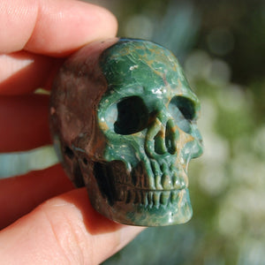 Rare Blue Opalized Petrified Wood Carved Crystal Skull 