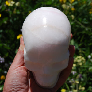 HUGE 5" Porcelain Pink Aragonite Carved Crystal Skull 3.6lb