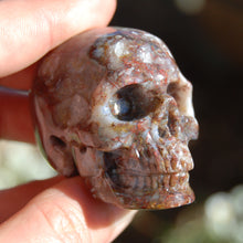 Load image into Gallery viewer, Pietersite Carved Crystal Skull 
