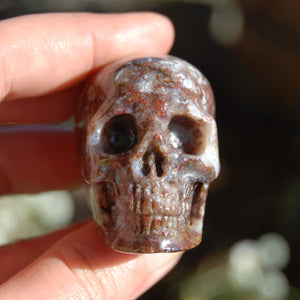 Pietersite Carved Crystal Skull 