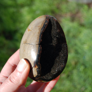 Septarian Dragon Egg Geode Crystal