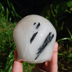HUGE Black Tourmaline Quartz Crystal Skull, Realistic Skull Carving