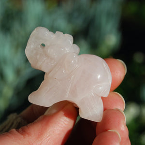 Rose Quartz Carved Crystal Elephant Totems 