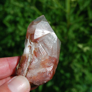 Raw Amphibole Quartz Crystal Point from Brazil