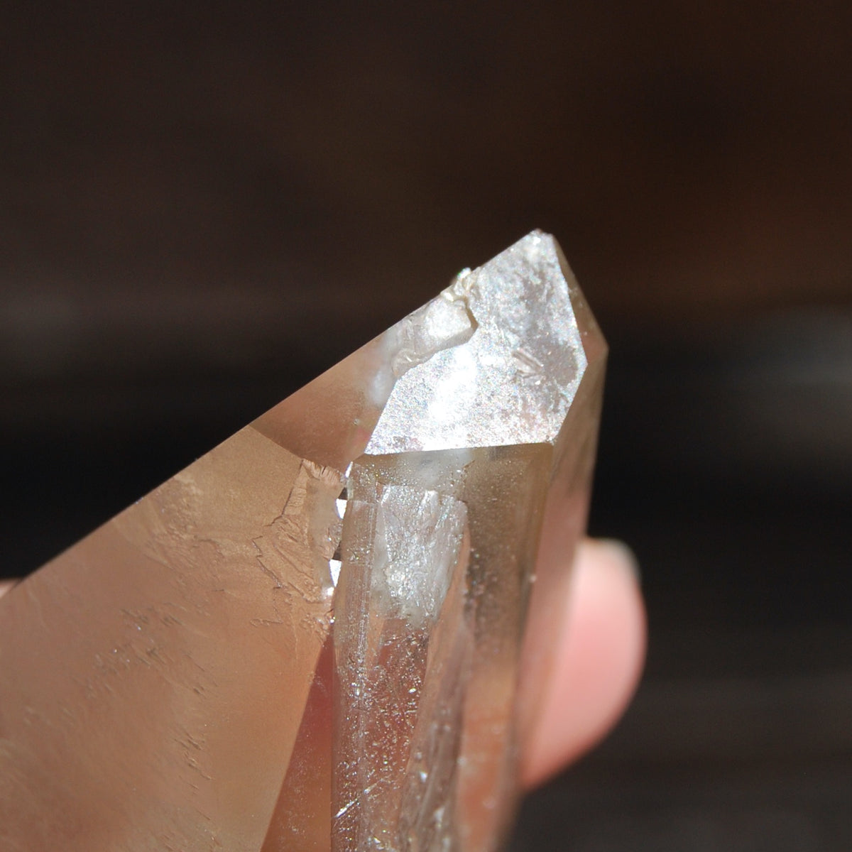 Citrine Golden Healer Lemurian Seed Quartz Crystal