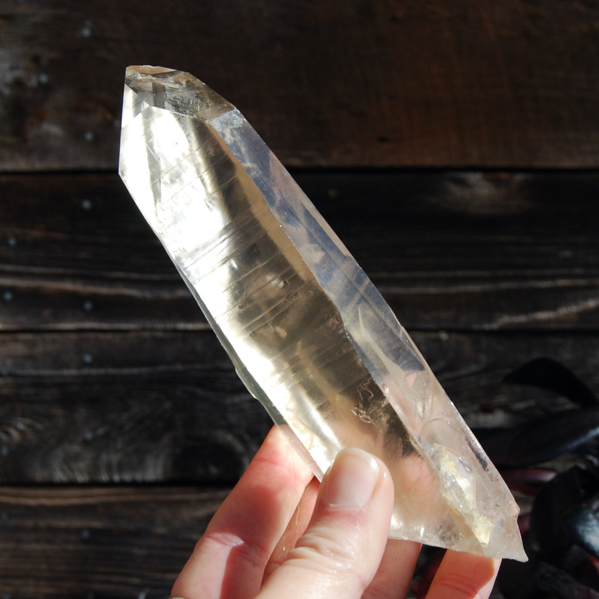 Citrine Golden Healer Lemurian Seed Quartz Crystal