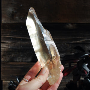 Citrine Golden Healer Lemurian Seed Quartz Crystal