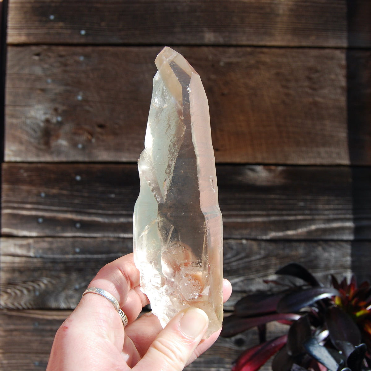 Citrine Golden Healer Lemurian Seed Quartz Crystal