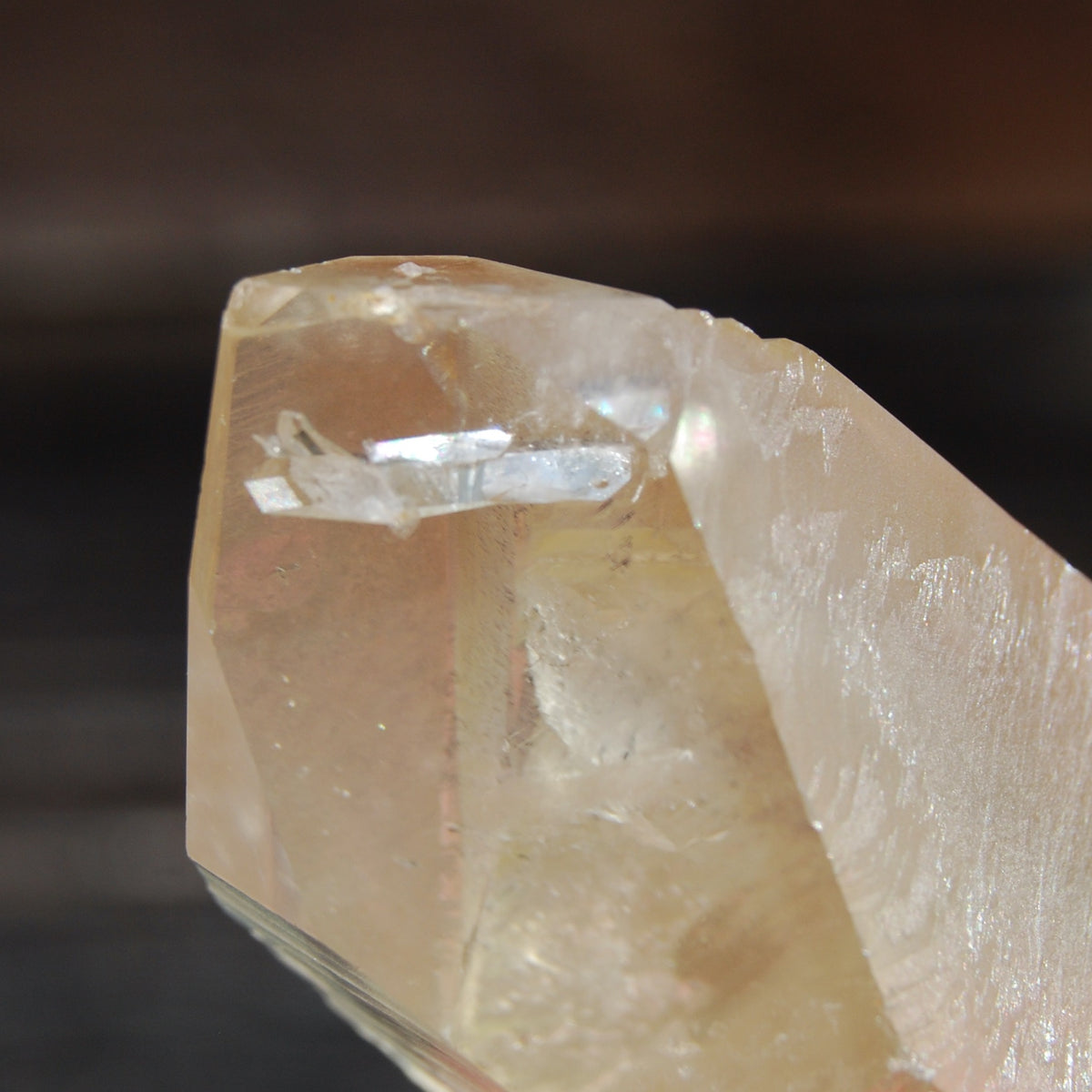 Citrine Golden Healer Lemurian Seed Quartz Crystal