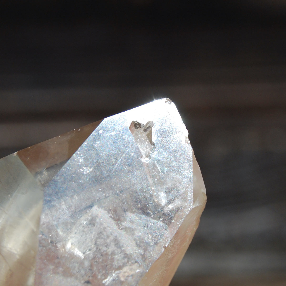 Citrine Golden Healer Lemurian Seed Quartz Crystal