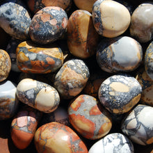 Load image into Gallery viewer, Maligano Jasper Tumbled Stones
