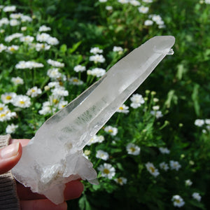 Lemurian Seed Quartz Crystal, Brazil
