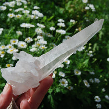 Load image into Gallery viewer, Lemurian Seed Quartz Crystal, Brazil
