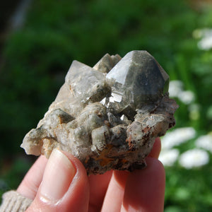 Elestial Chlorite Quartz Crystal Cluster, Brazil