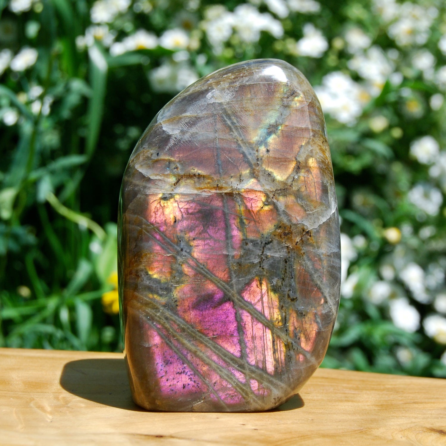 Purple Labradorite Crystal Free Form, Pink Labradorite, Large Labradorite