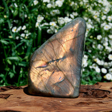 Load image into Gallery viewer, Sunset Labradorite Crystal Large Free Form Tower Spectrolite
