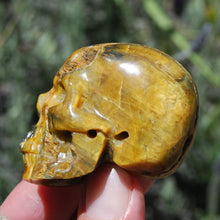 Load image into Gallery viewer, Blue Pietersite Carved Crystal Skull Realistic Gemstone Carving
