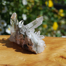 Load image into Gallery viewer, Chlorite Quartz Crystal Cluster, Corinto Brazil
